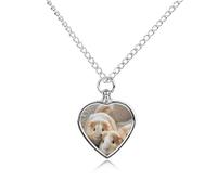 maccbn Collana con urna per ceneri, impermeabile, con kit di riempimento, catena regolabile da 70,1 cm, per cani e gatti, regalo di simpatia per gli amanti degli animali domestici