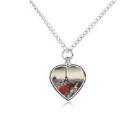 maccbn Parigi, collana con urna per ceneri, impermeabile, ciondolo commemorativo a forma di cuore, con kit di riempimento, catena regolabile da 70 cm, gioiello per la cremazione, regalo per cani e