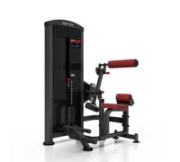 Macchina 2-in-1 per addominali ed estensioni per la schiena MP-U220 - Marbo Sport