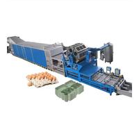 Macchina automatica per la produzione di vassoi per uova di carta - Linea di produzione versatile di vassoi per uova e cartoni per torte, cartoni per uova e altro ancora