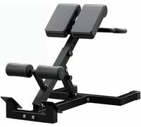 Macchina di estensione della gamba della panca di allenamento della macchina di estensione della sedia romana per il fitness