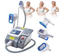 Macchina Dimagrante Criolipolisi Professionale Macchina Di Congelamento Grassa Di Cryolipolysis, Macchina Per Modellare La Perdita Di Peso Con 3 Manici, Massaggiatore Della Cellulite