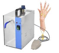 Macchina for la pulizia a vapore del pulitore for gioielli da 2 litri,1300W | Con riscaldatore for monete, piccole parti metalliche, dischi, circuiti stampati, accessori quotidiani