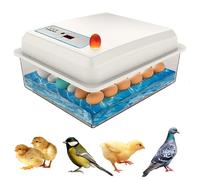 Macchina incubatrice completamente automatica 20 uova, completamente automatica, con funzione di riempimento dell'acqua, schermo di visualizzazione, rotazione automatica, covatrice pollaio, polli