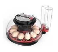 Macchina incubatrice completamente automatica, incubatrice per 12 uova, temperatura e umidità regolata automaticamente, incubatrice con funzione automatica per galline, anatre e quaglie