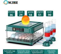 Macchina per cova con incubatrice per uova 24/36, piccola macchina da cova per allevamento di uova, strumento da cova automatico per allevamento di fatture, macchina da cova per pollame