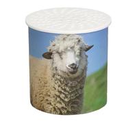 Macchina per i suoni delle pecore - Giocattolo per l'imitazione dei suoni delle pecore, Creatore dei suonii degli animali | Dispositivo vocale, giocattolo scherzo divertente, gioco interattivo