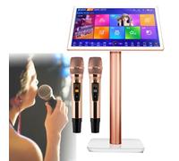 Macchina per karaoke all-in-one, KTV Karaoke Play con touch screen capacitivo a LED da 22 pollici e microfono wireless professionale, aggiornamento cloud, download di brani,White-1TB