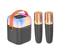 Macchina Per Karaoke - Altoparlante Canto Wireless con 2 Microfoni | Di Karaoke | per Scena Ufficio Terrazza Giardino Feste Esterne Spettacoli Casa