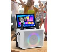 Macchina per karaoke con display da 14 pollici, altoparlante Bluetooth portatile, con 2 microfoni wireless e disco rigido da 500 G e staffa audio, per feste all'aperto, supporta cellulari e