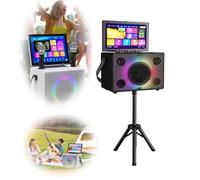 Macchina per karaoke con display da 14 pollici, altoparlante Bluetooth portatile, con 2 microfoni wireless e disco rigido da 500 G e staffa audio, per feste all'aperto, supporta cellulari e
