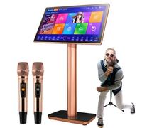 Macchina per karaoke con touch screen da 19,5 pollici, microfono wireless, aggiornamento canzone cloud, lettore KTV per feste a casa e bar, 3 TB di spazio di archiviazione