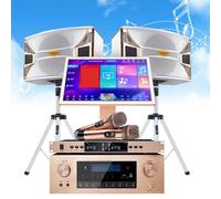 Macchina per karaoke intelligente 2024 per adulti, con display dei testi e disco rigido da 3 TB, richiesta di brani vocali intelligenti AI, 27 lingue, con 2 microfoni wireless, 2 altoparlanti