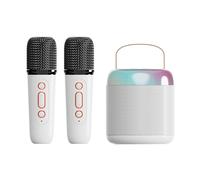 Macchina per karaoke per adulti, altoparlante Bluetooth portatile con 2 microfoni wireless, con luce a LED ed effetti che cambiano la voce, adatto per famiglie, riunioni e campeggio (Y2, doppio,