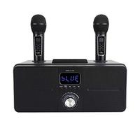 Macchina per karaoke portatile, altoparlante Bluetooth senza fili stereo versatile con 2 microfoni wireless, macchina per canto integrata ricaricabile per bambini e adulti, esterno e interno (nero)