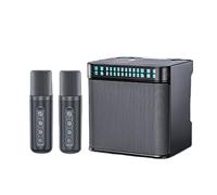 Macchina per karaoke portatile intelligente, doppio microfono, altoparlante Bluetooth, luce LED, qualità del suono HIFI, effetto stereo, alta potenza, durata della batteria ultra lunga, adatta per