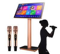 Macchina per karaoke portatile, lettore karaoke professionale da 19 pollici con 2 microfoni wireless, 1,1 milioni di brani scaricabili dal cloud e supporto multilingue 26 lingue commutabili,Black-1TB