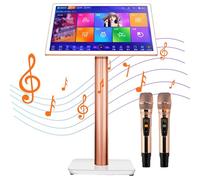 Macchina per Karaoke Touch Screen da 22 pollici, Macchina All-in-One, Lettore Desktop per Canto KTV, Effetti Integrati con 2 Microfoni Wireless e Schermo per la Visualizzazione dei Testi,White-2TB