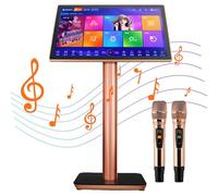 Macchina per Karaoke Touch Screen da 22 pollici, Macchina All-in-One, Lettore Desktop per Canto KTV, Effetti Integrati con 2 Microfoni Wireless e Schermo per la Visualizzazione dei Testi,Black-2TB