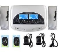 Macchina per la Pulizia delle Cellule del pediluvio ionico disintossicante per pediluvio ionico a Doppio utente, Macchina per la disintossicazione dei Piedi Macchina per la Spa del pediluvio ionico