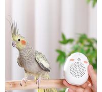 Macchina per l'apprendimento degli uccelli Giocattolo interattivo