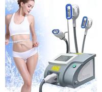 Macchina per Lipolisi Dimagrante per Il Corpo con Congelamento del Grasso per Criolipolisi,Macchina Dimagrante per La Perdita di Peso, Modellamento del Corpo per Braccia, Vita