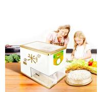 Macchina per Mulino del Riso Domestica Decorticatore Automatico con Tramoggia di Grande Capacità e Separatore di Crusca per Produzione Quotidiana di Riso Fresco