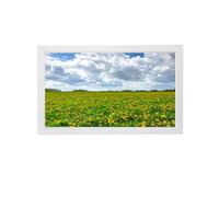 Macchina pubblicitaria for album fotografici elettronici con cornice for foto digitale IPS ad alta definizione da 27 pollici ad alta definizione Il video 1080p supporta l'interfaccia HDMI for uso dome