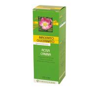 Macerato Glicerico Rosa Canina, 100ml