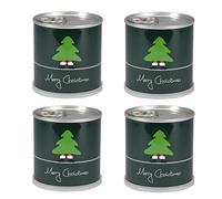 MacFlowers® | 4 pezzi di albero di Natale in barattolo | regalo in scatole di fiori istantanei | per calendario dell'Avvento di Natale