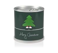 MacFlowers Albero di Natale in barattolo | Merry Christmas | Set per la coltivazione dell'albero di Natale | riempimento calendario dell'Avvento | regalo di Natale