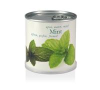 MacFlowers Extragifts - Fiori in lattina, colore: menta