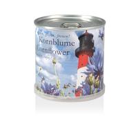 MacFlowers Extragifts Fiori in scatola - Fiordaliso