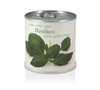 MacFlowers - Fiori in barattolo - Basilico
