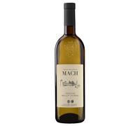 Mach MULLER THURGAU Trentino DOC 2024 Fondazione E. Mach 2024