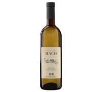 Mach PINOT GRIGIO Trentino DOC Fondazione 2025 E. MACH 2025