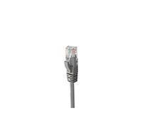 Mach Power Cavo di rete UTP CAT6 CCA 0,5 m RJ45 M/M Grigio 1000 Mbps (CV-PU6CCP-005-GR)