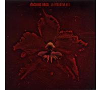 Machine Head - Burning Red