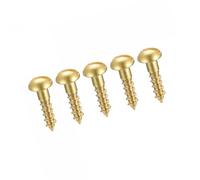 MACHSWON Viti autofilettanti, viti per legno M2,5 x 10 mm, a testa tonda con intaglio, viti autofilettanti in ottone, 50 pezzi