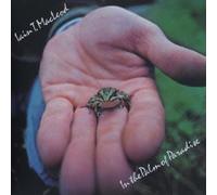MACLEOD, IAIN T. - IN THE PALM.. -JAP CARD-