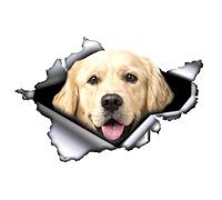 MACMRD Adesivi Per Auto 13 Cm X 8,8 Cm Adesivo Per Auto Golden Retriever Adesivo Per Auto In Metallo Strappato Adesivi Riflettenti Decorazione Per Auto Impermeabile