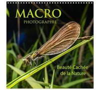 Macro Fotocografia Beauté Cachée de la Nature (Calendrier mural carré 2026 30 x 60 cm (ouvert)) Calendrier double avec une page pour vos prises de notes