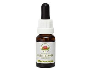 Macrocarpa 15ml stock Australian Bush Flower Essences Ian White