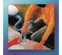 Macula Dog - Why Do You Look Like Your Dog