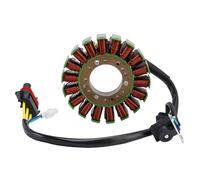 Mad Hornets Stator Generator 910792 910754 Adatto per TGB ATV Blade 1000LT 1000LTX MAX E2 E4 E5 T3b