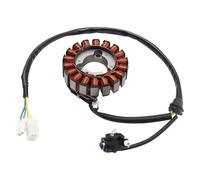 MAD HORNETS Statore Fit for SWM SM125R SM 125 R RS125R RS 125 R 2017-2023 - 18 Poli, Plug-And-Play