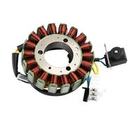 Mad Hornets Statore fit for TGB X-Motion 250 300 X-Large 300-18 poli, Plug-and-Play