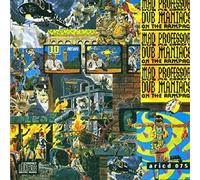 Mad Professor - Dub Maniacs On The Rampage