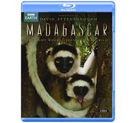 Madagascar [Edizione: Regno Unito]
