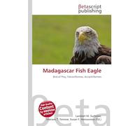 Madagascar Fish Eagle: Bird of Prey, Falconiformes, Accipitriformes